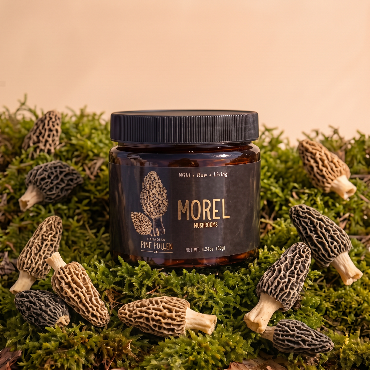 Baby Morel Mushrooms - Premium Petite A Grade