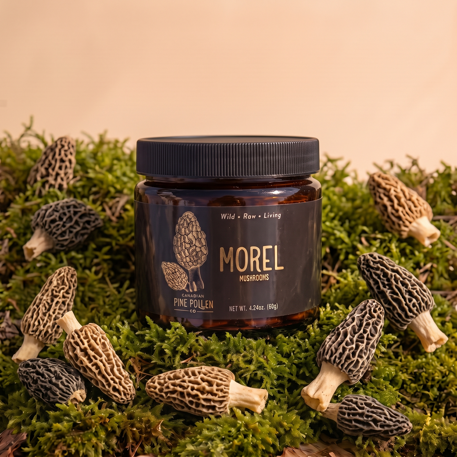 Baby Morel Mushrooms - Premium Petite A Grade