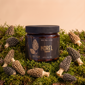Baby Morel Mushrooms - Premium Petite A Grade