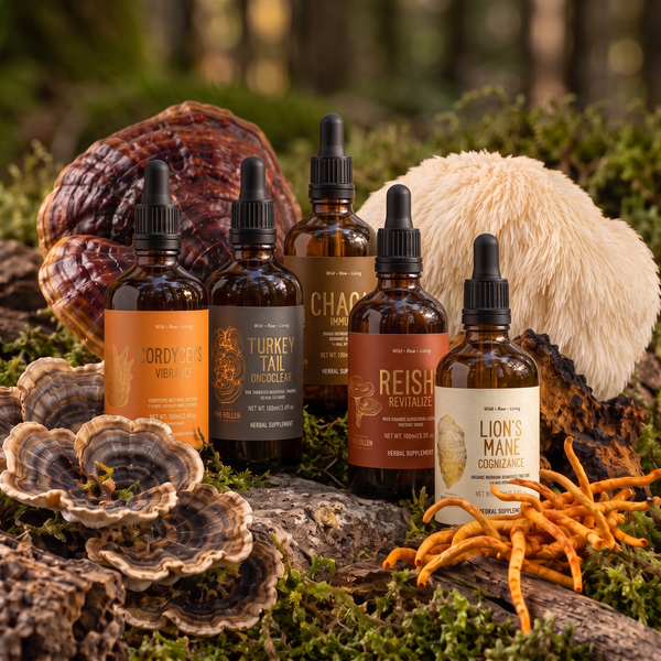 Certified Organic Wild Mushroom Bundle;  Dual Extract