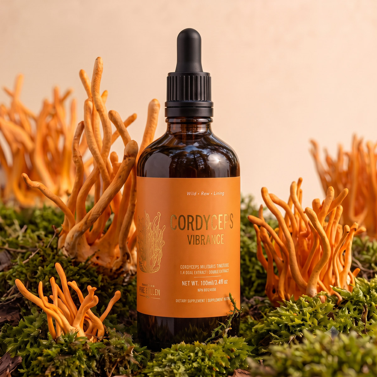 Certified Organic Wild Mushroom Bundle;  Dual Extract