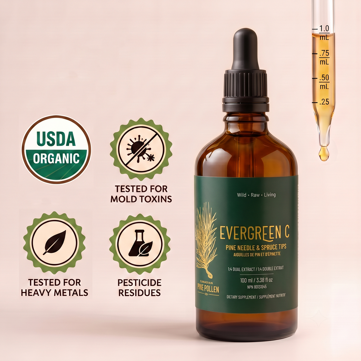 Pine Needle Tincture and Spruce Tip Tincture- Evergreen C
