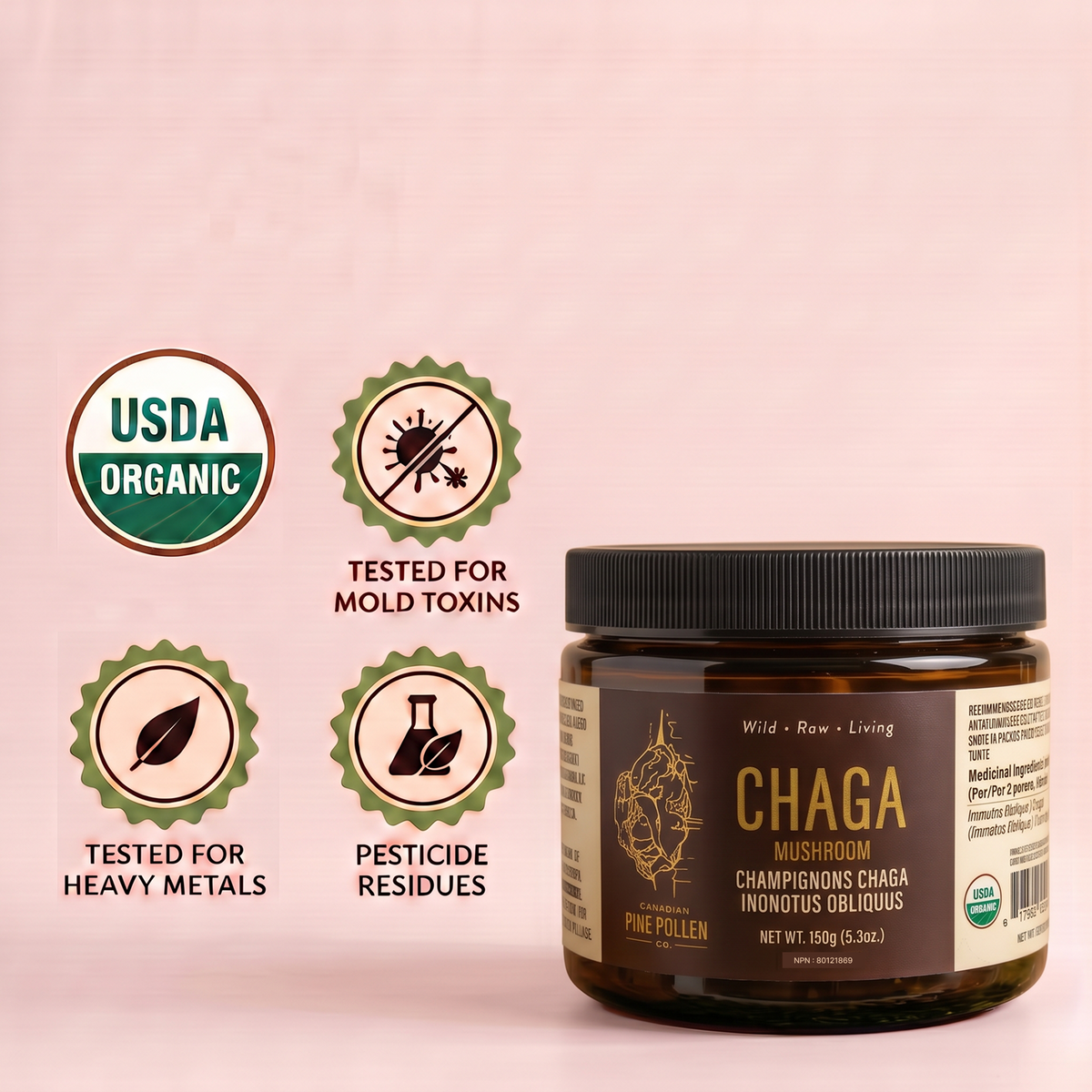 Champignon Chaga sauvage - 150g (5,3 oz)