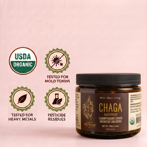 Champignon Chaga sauvage - 150g (5,3 oz)