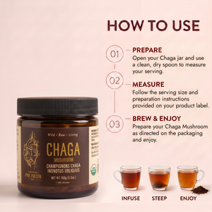 Champignon Chaga sauvage - 150g (5,3 oz)