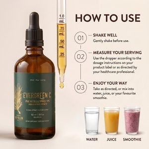 Pine Needle Tincture and Spruce Tip Tincture- Evergreen C