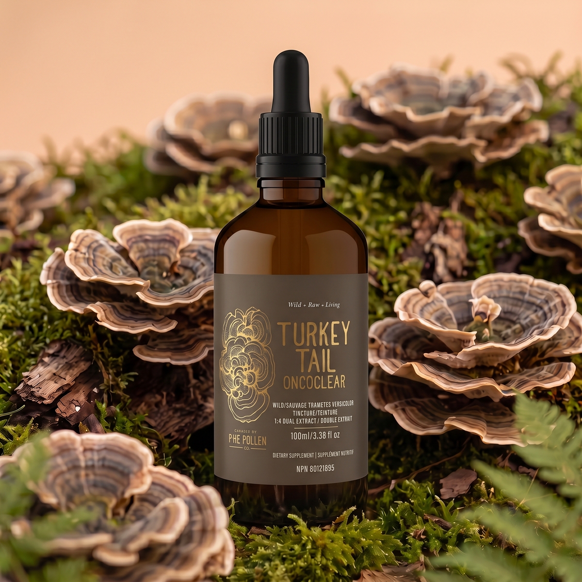 Certified Organic Wild Mushroom Bundle;  Dual Extract