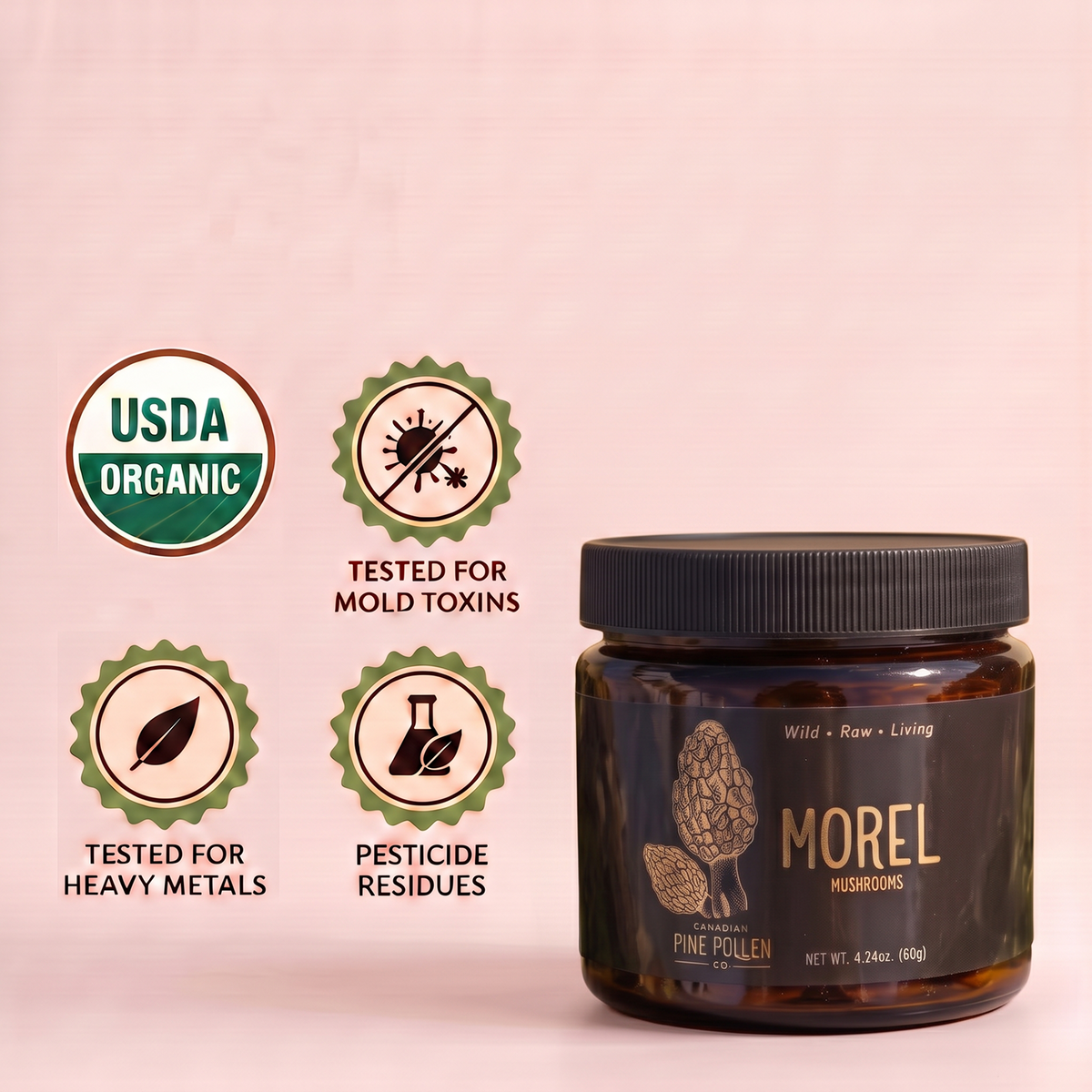Baby Morel Mushrooms - Premium Petite A Grade