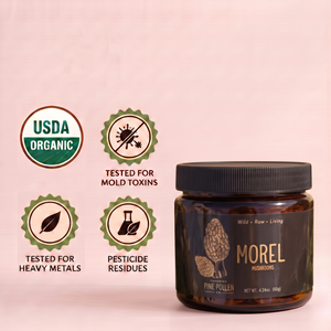 Baby Morel Mushrooms - Premium Petite A Grade