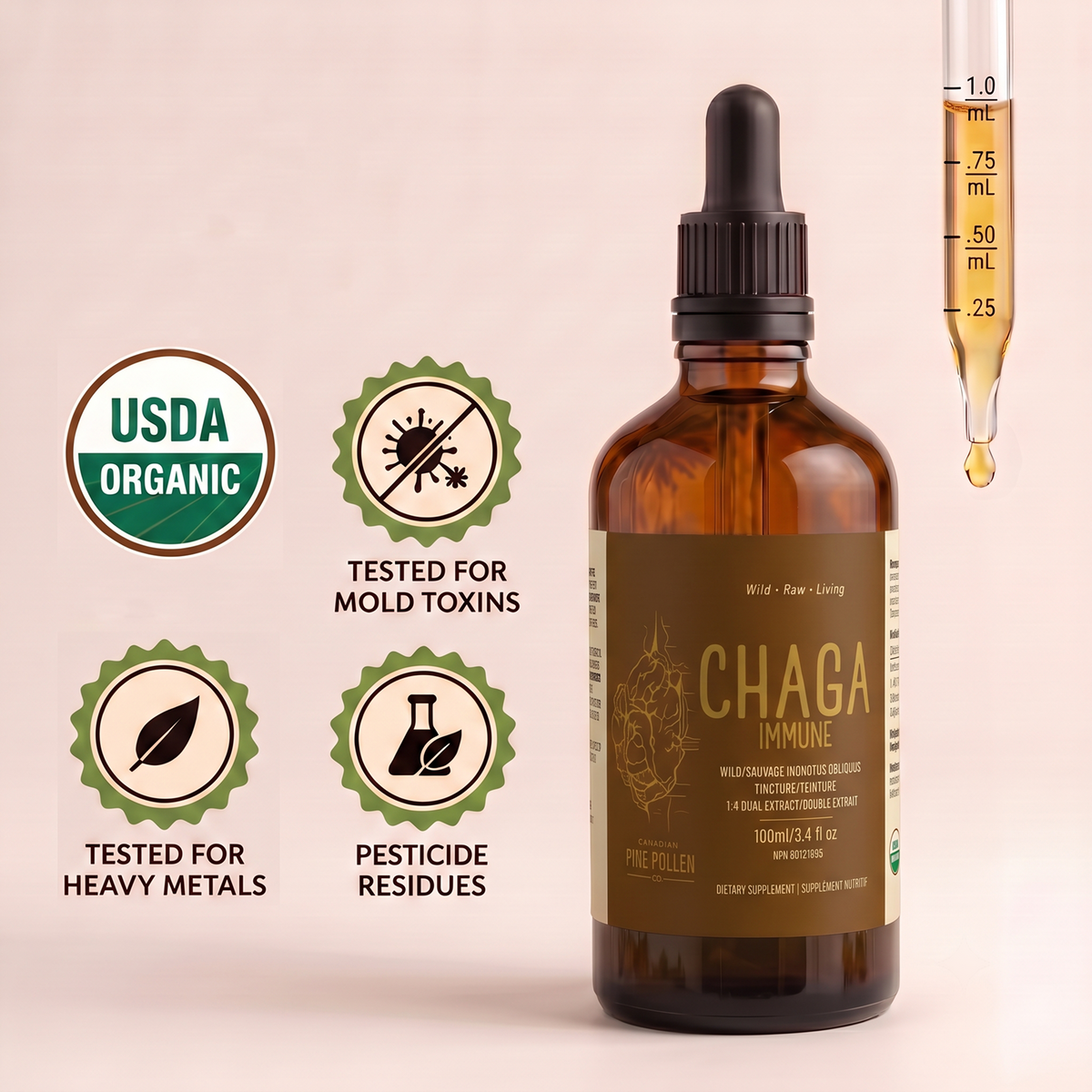 Chaga Mushroom Dual Extract| Wild Certified Organic Chaga Tincture