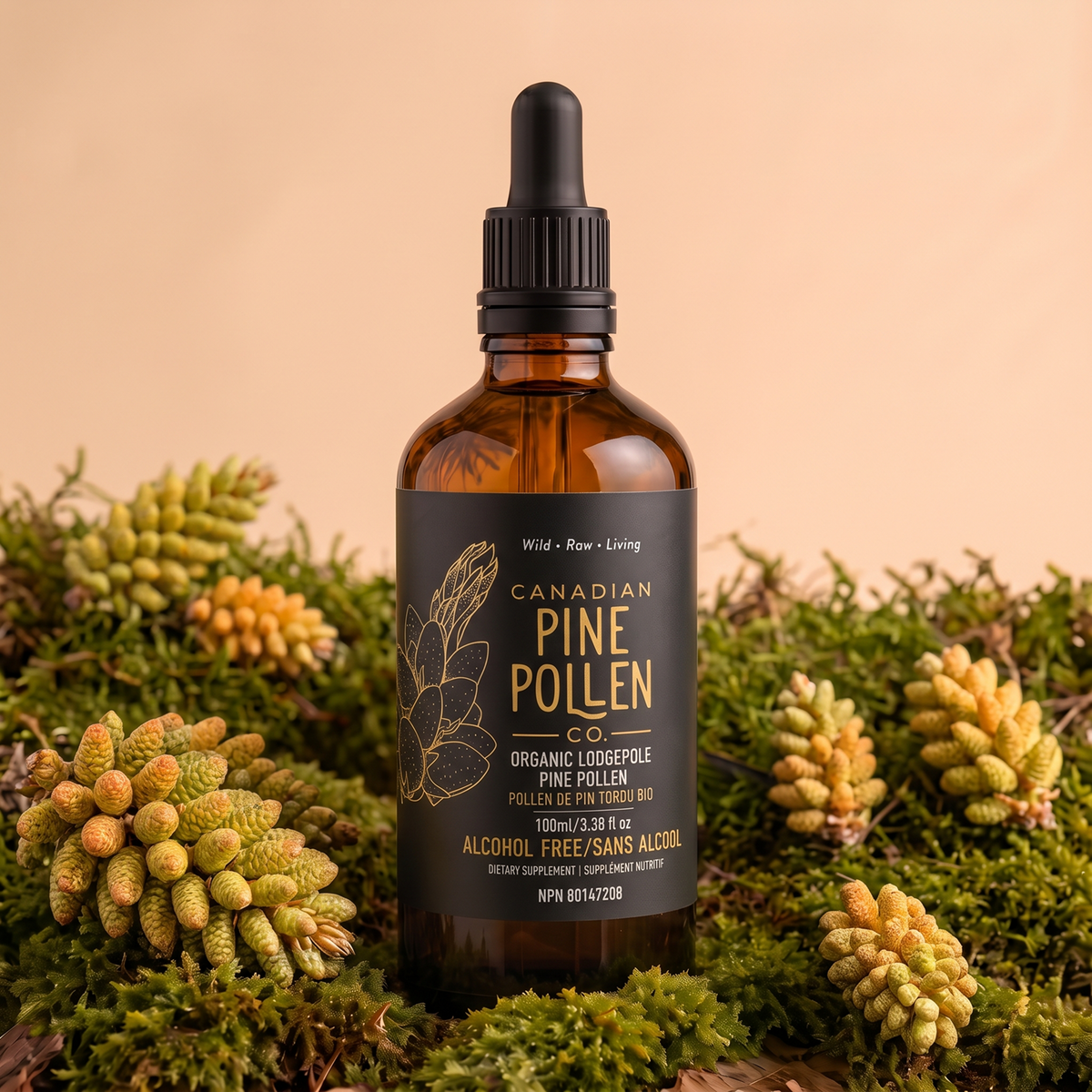Pine Pollen Trio: Lodgepole Non-alcoholic + Pondersa Powder + Gold Label Ticture