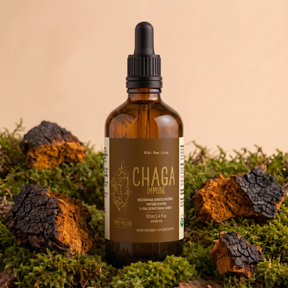 Certified Organic Wild Mushroom Bundle;  Dual Extract