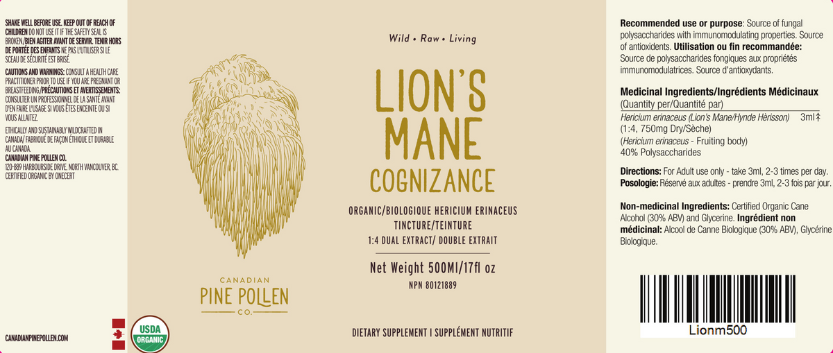 Organic Lion's Mane Tincture | dual extract- Fruiting body