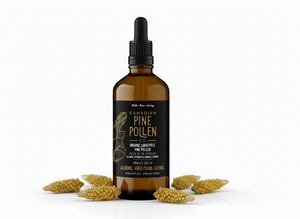 Lodgepole Tincture (Non Alcohol)