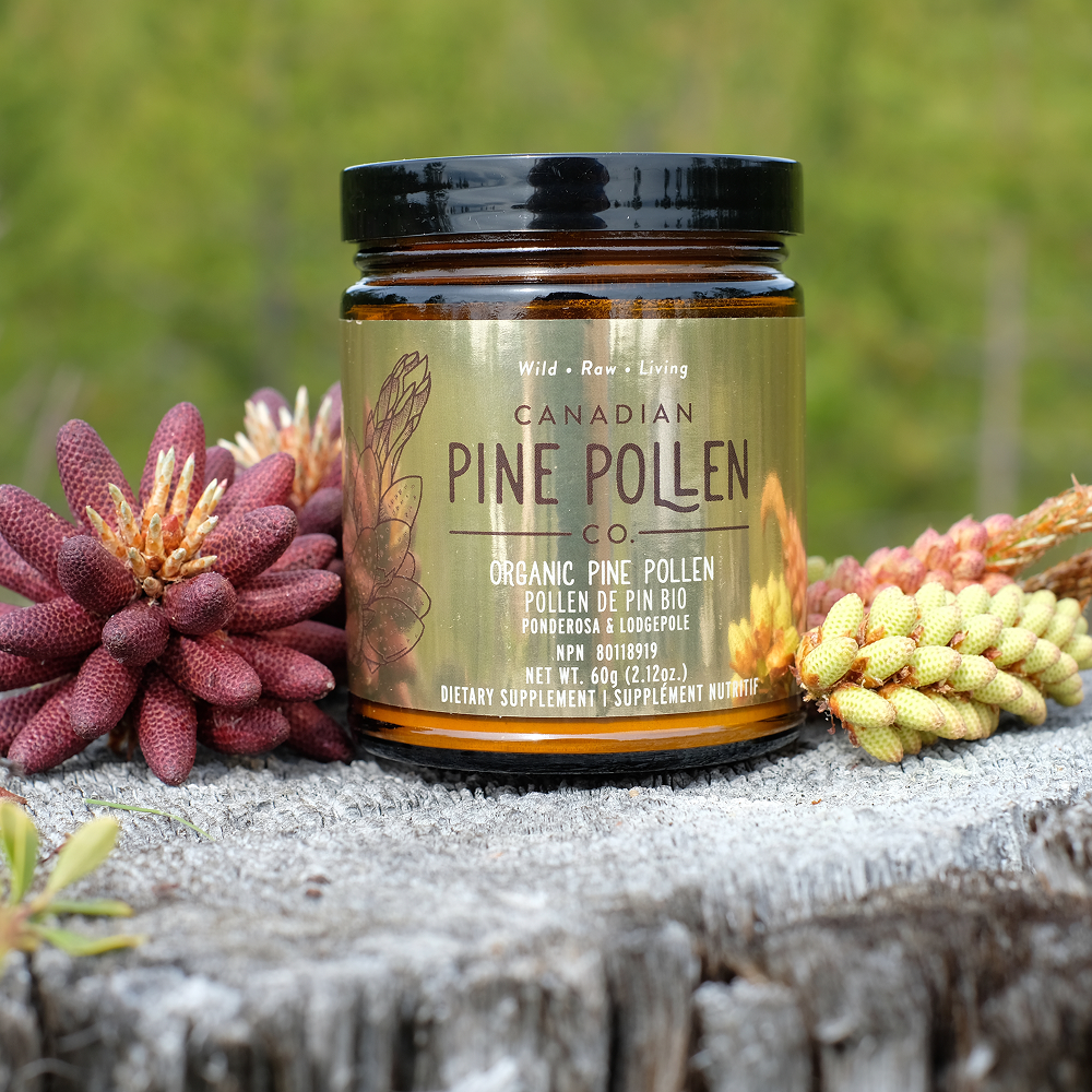 Certified Organic Pine Pollen Powder - Wildcrafted