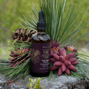 Wild Ponderosa Pine Pollen Tincture Certified Organic