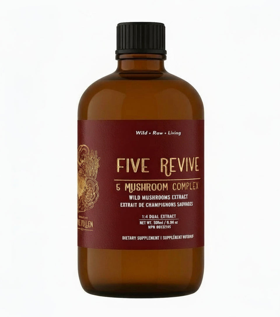 Five Revive Mushroom Complex (250mg/ml)  | 1:4 dual extract- Fruiting body