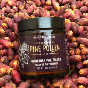 Poudre de pollen de pin ponderosa sauvage – Certifié biologique 30 g (1 oz) 