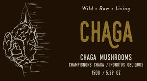 Champignon Chaga sauvage - 150g (5,3 oz)