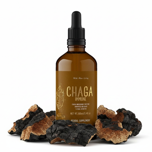 Immunité au Chaga sauvage : Teinture à double extrait de champignon Chaga 1:5