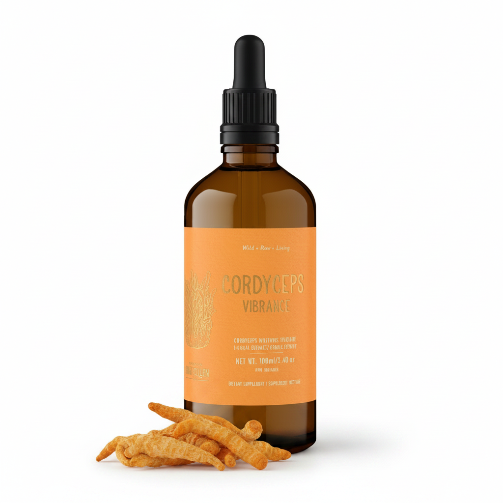 Cordyceps Tincture Certified Organic - High Potency  Fruiting body-  1:4 (100ml/3.4oz)