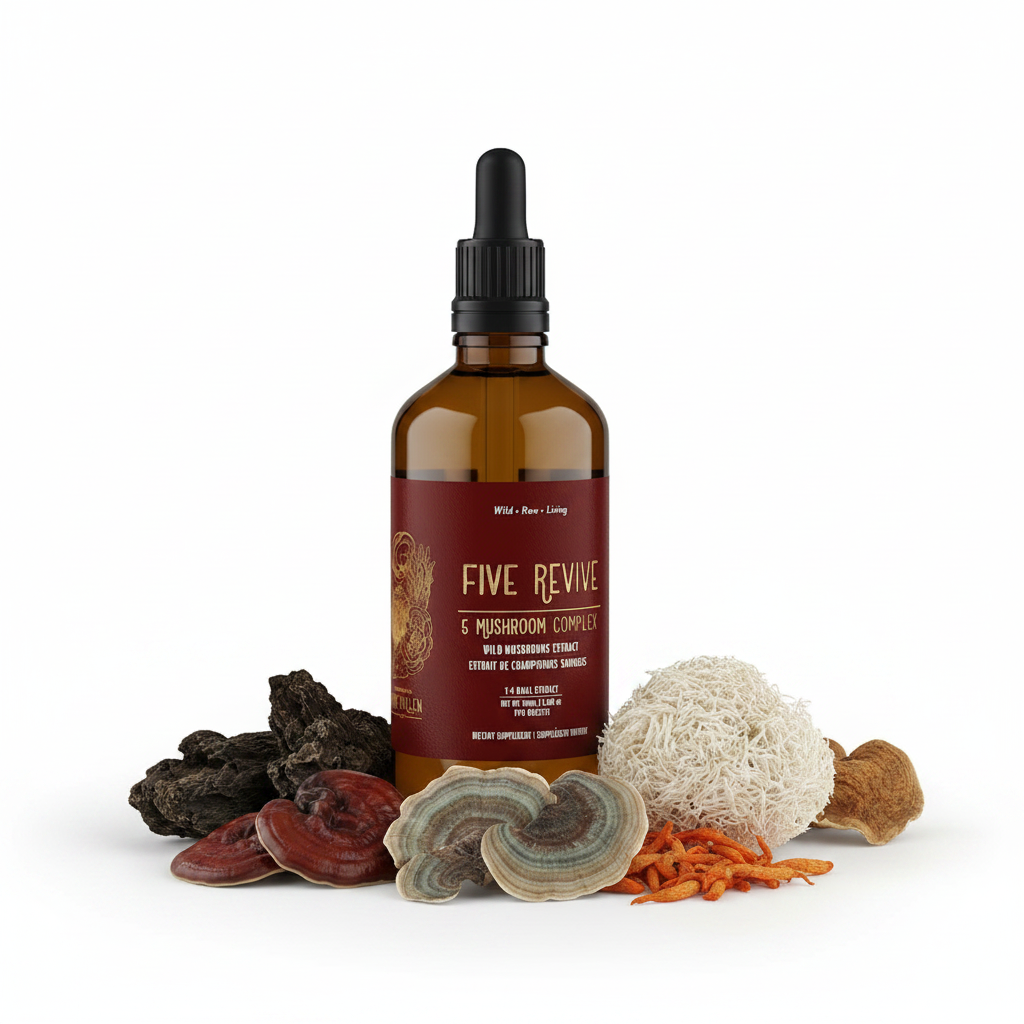 Wild Mushroom Complex, Organic  (250mg/ml)  | 1:4 dual extract- Fruiting body