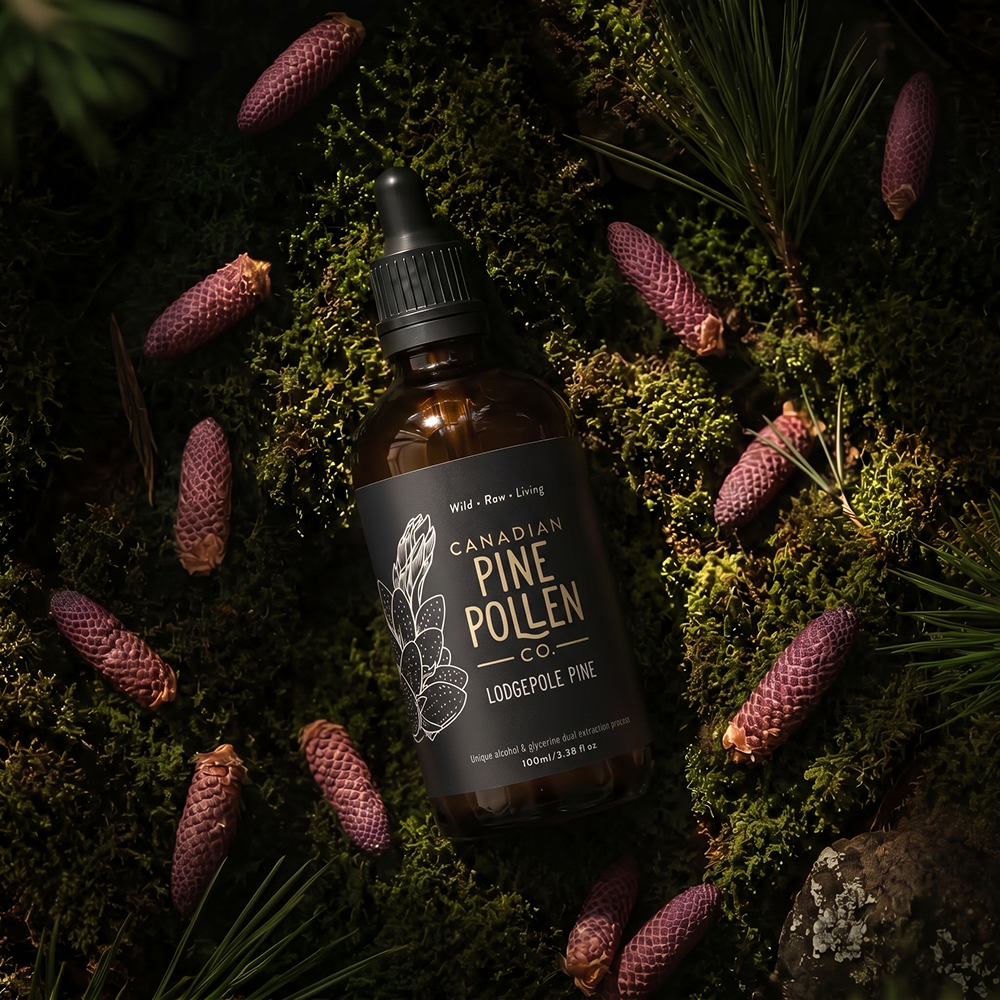 Wild Lodgepole Pine Pollen Tincture Certified Organic