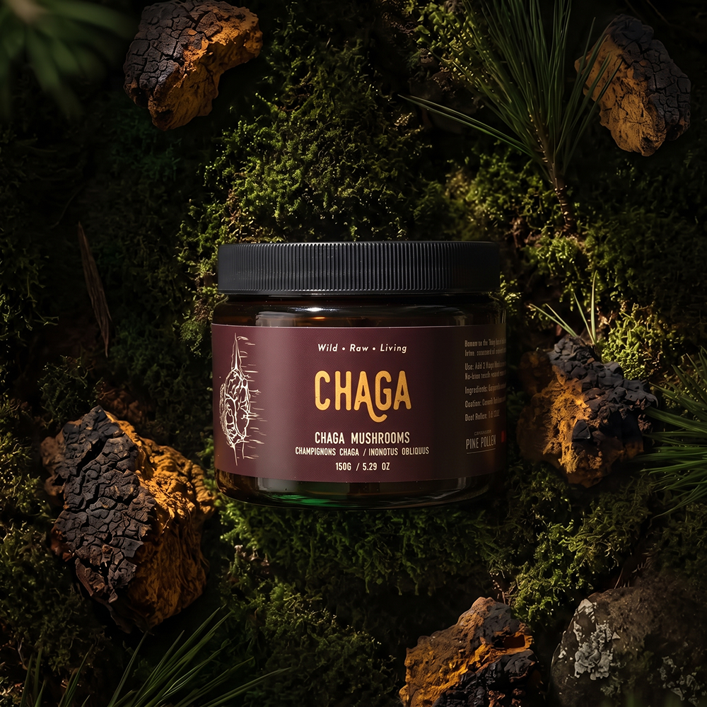 Certified Organic Wild Chaga Mushroom