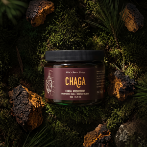 Certified Organic Wild Chaga Mushroom
