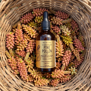 Certified Organic Pine Pollen Extract - Wildcrafted and Standardized Potency