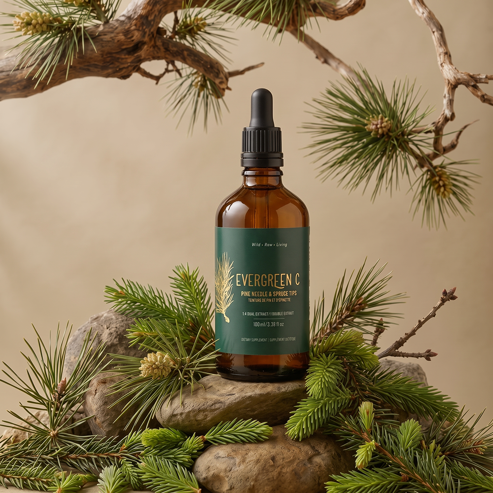 Pine Needle Tincture and Spruce Tip Tincture- Evergreen C