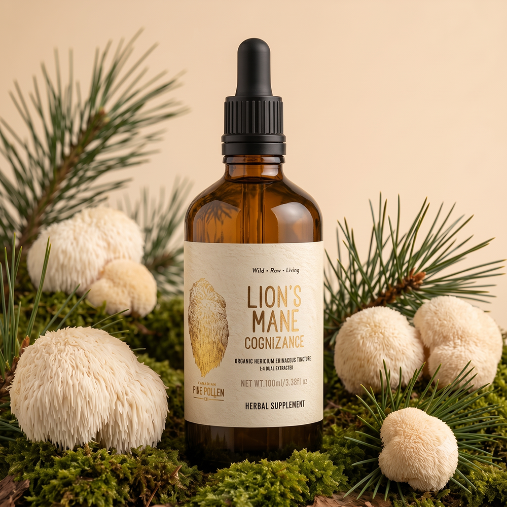 Organic Lion's Mane Tincture | dual extract- Fruiting body