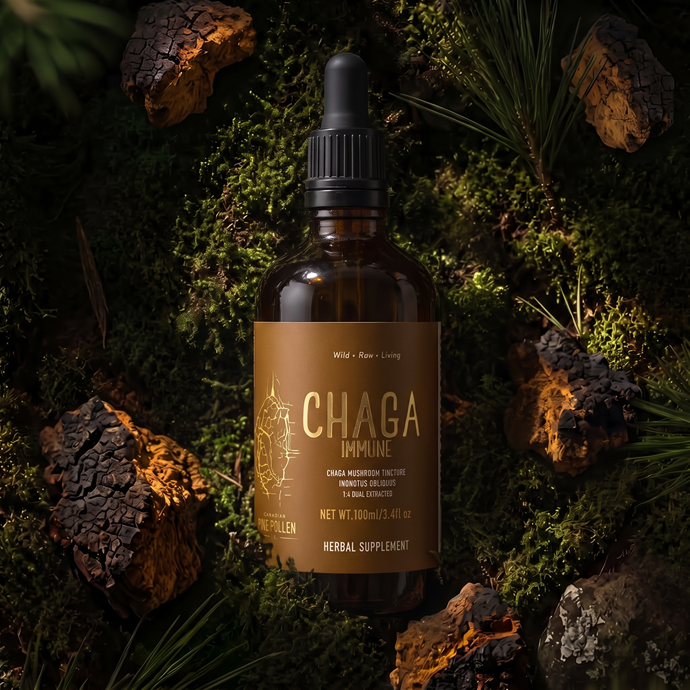 Chaga Mushroom Dual Extract| Wild Certified Organic Chaga Tincture
