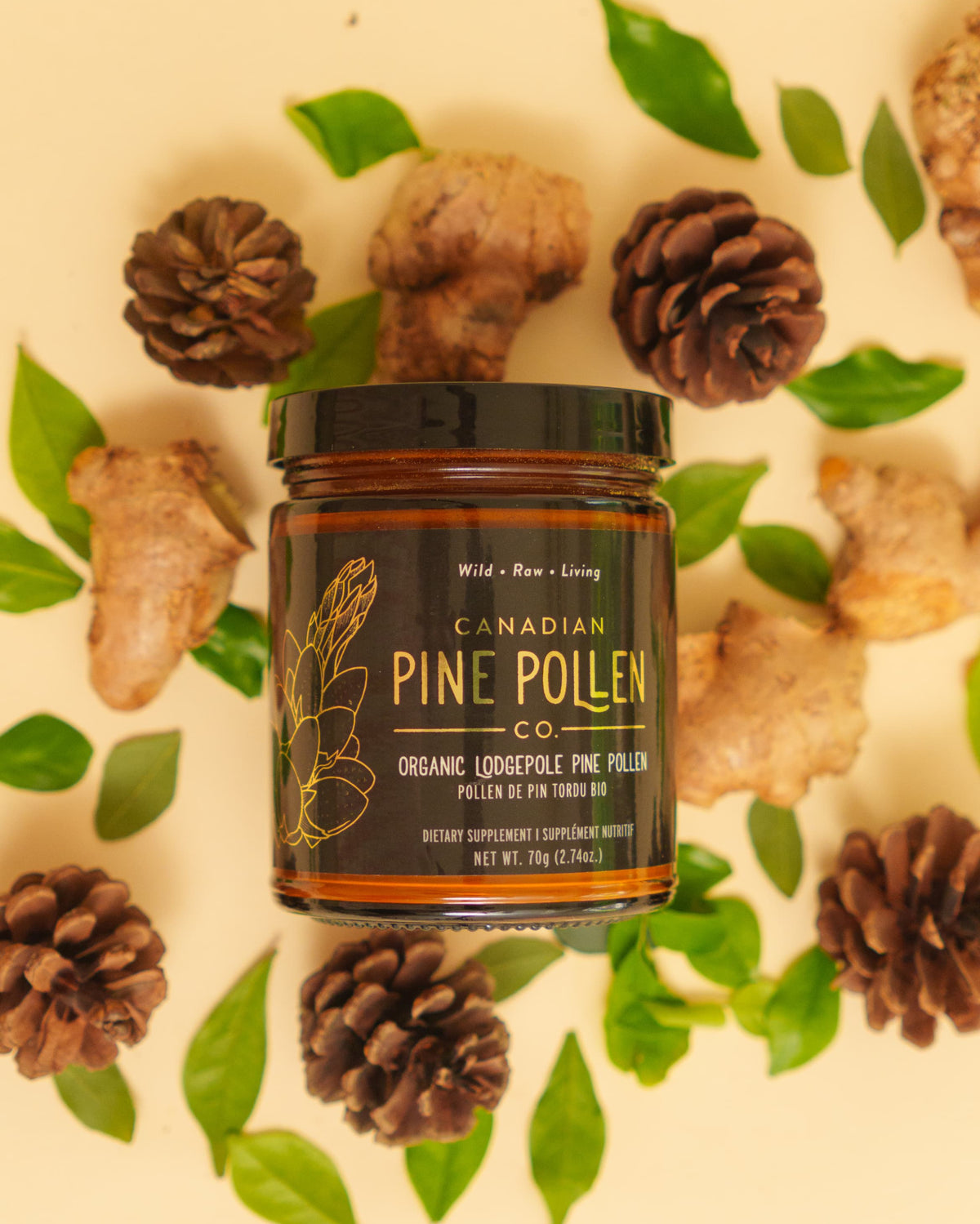 Wild Lodgepole Pine Pollen Powder - Certified Organic 30g (1.0 oz)