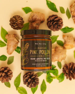 Wild Lodgepole Pine Pollen Powder - Certified Organic 30g (1.0 oz)