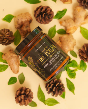 Wild Lodgepole Pine Pollen Powder -  Certified Organic 70g (2.5 oz)