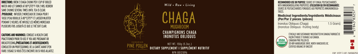 Champignon Chaga sauvage - 150g (5,3 oz)