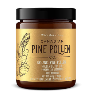 Poudre de pollen de pin sauvage - Certifié biologique (pin tordu et pin ponderosa) 60 g (2,12 oz)