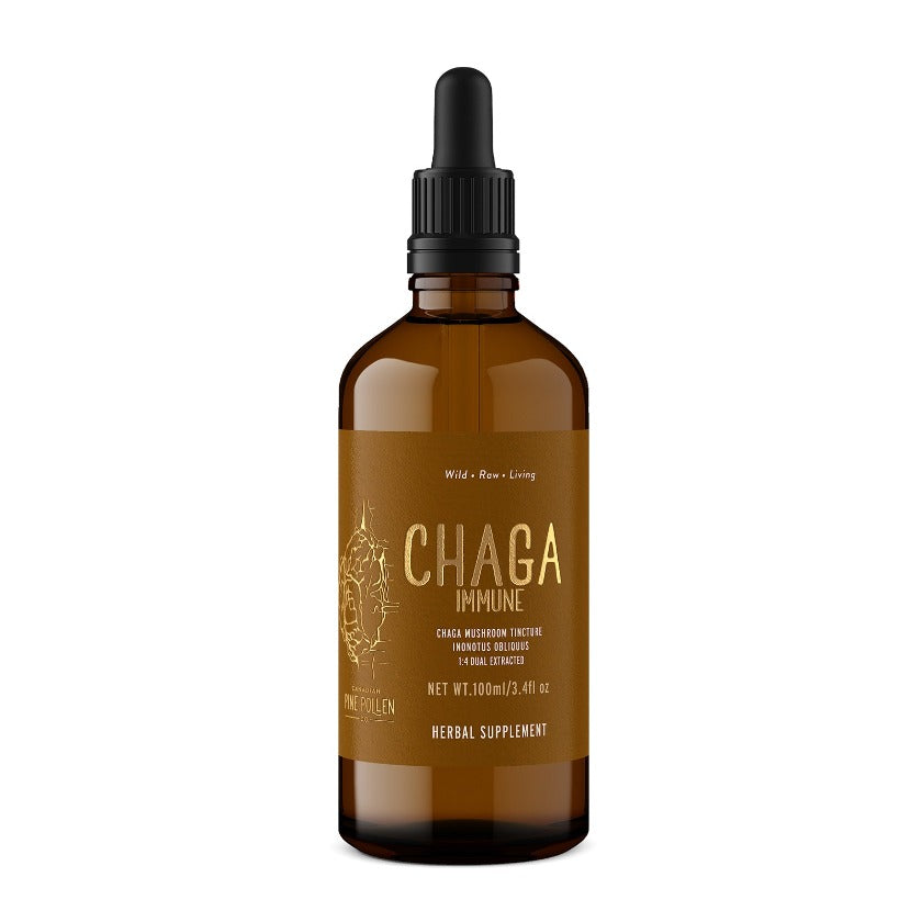 Wild Chaga Immune (250mg/ml)  | 1:4 Chaga Mushroom Dual Extract (100mll/3.4oz)