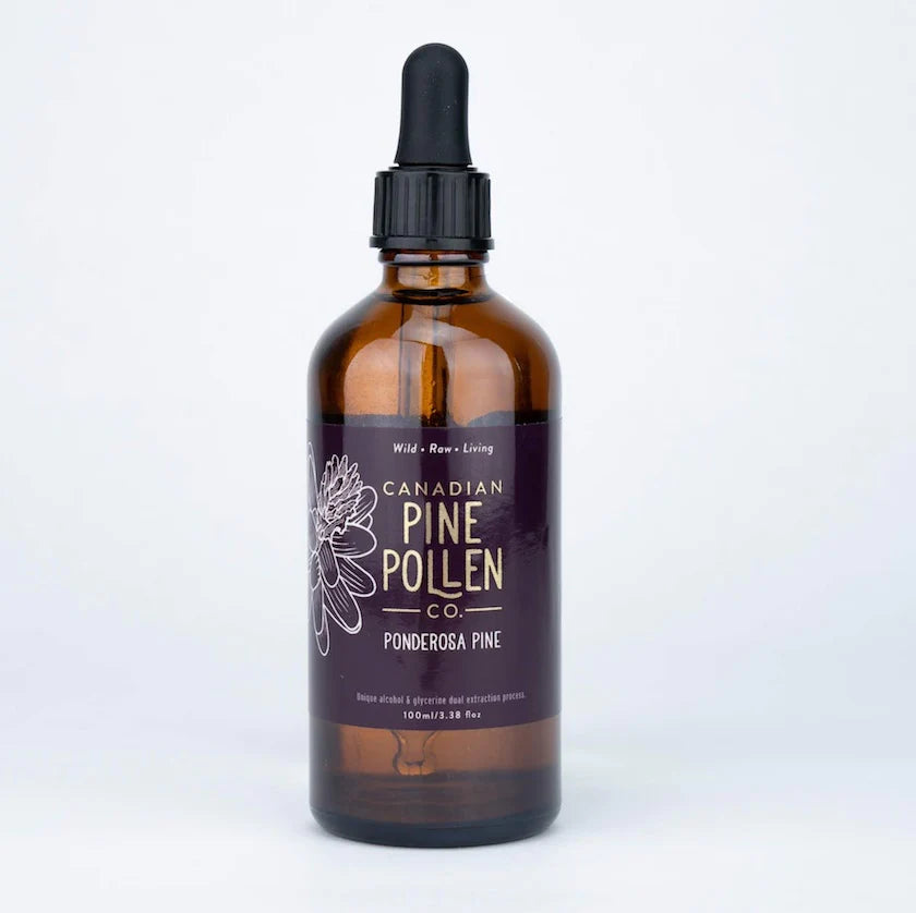 Teinture de pollen de pin ponderosa sauvage 1:6 – Certifiée biologique (100 ml-3,4 fl oz) 