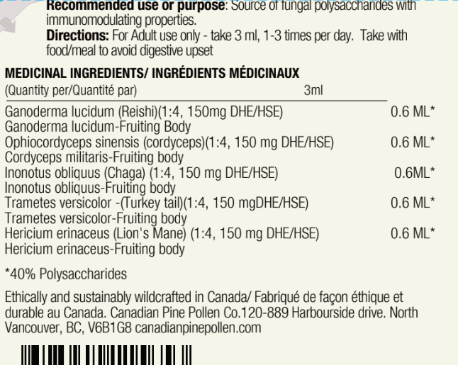 Wild Mushroom Tincture 5-pack; 1:4 Dual Extract-250mg/ml  (500ml/13.6oz)