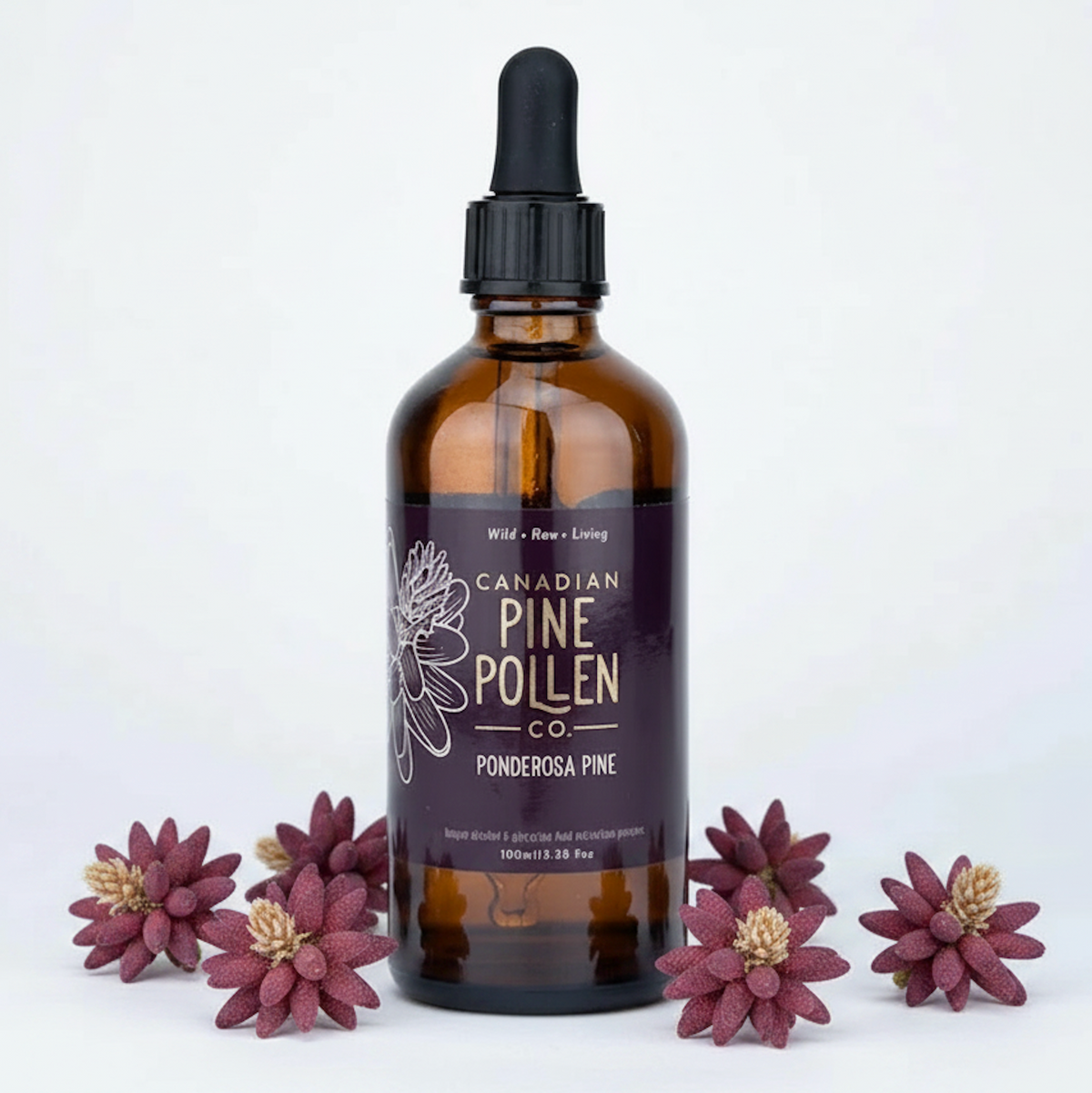 Teinture de pollen de pin ponderosa sauvage 1:6 – Certifiée biologique (100 ml-3,4 fl oz) 