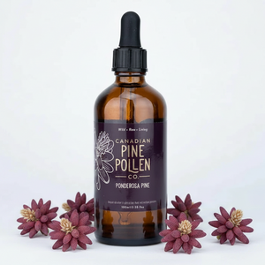 Teinture de pollen de pin ponderosa sauvage 1:6 – Certifiée biologique (100 ml-3,4 fl oz) 