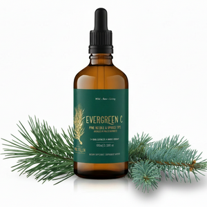 Pine Needle Tincture and Spruce Tip Tincture- Evergreen C- 1:6 (100ml/3.4 fl.oz)