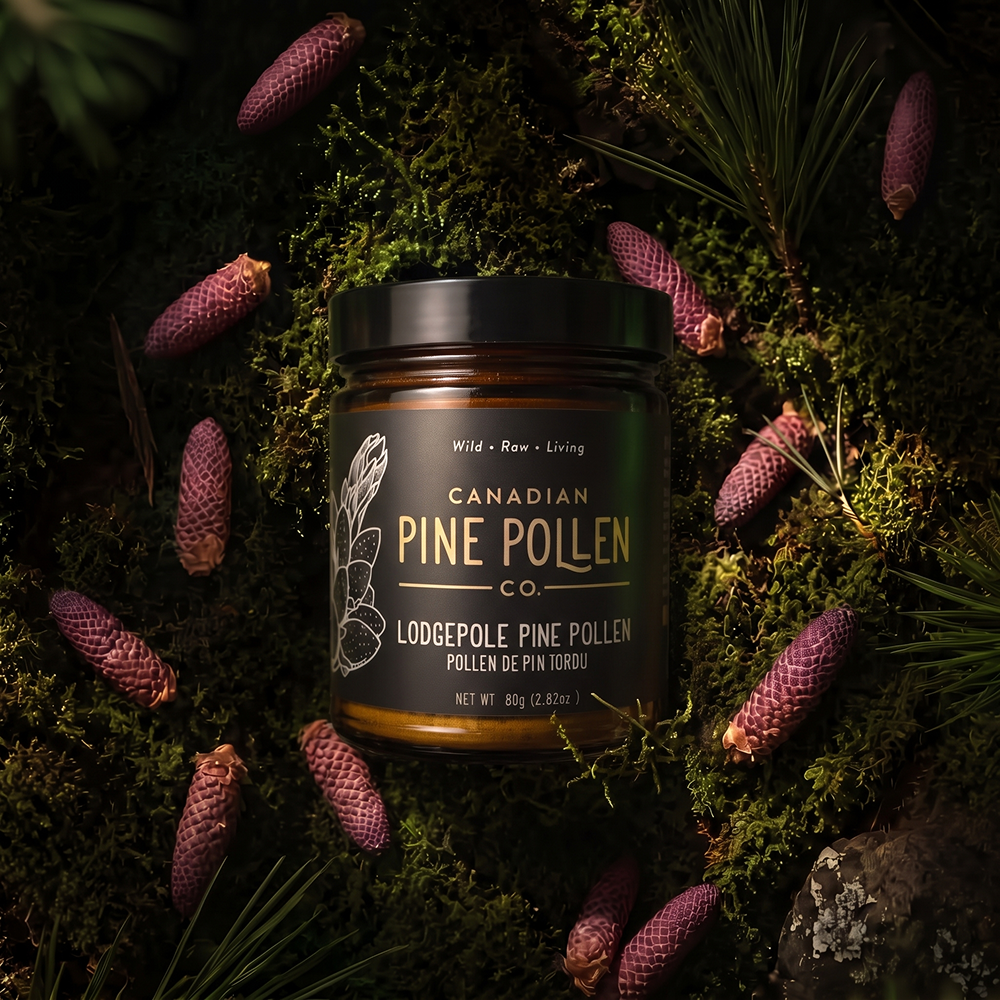 Wild Lodgepole Pine Pollen Powder -  Certified Organic