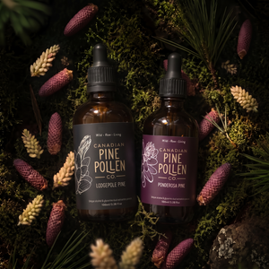 Wild Pine Pollen Tincture Duo - Certified Organic