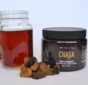 Champignon Chaga sauvage - 150g (5,3 oz)