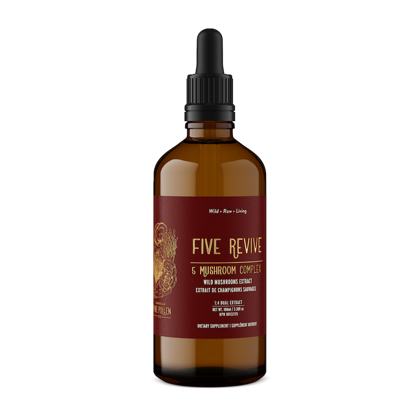 Five Revive Mushroom Complex (250mg/ml)  | 1:4 dual extract- Fruiting body (100ml/3.4oz)