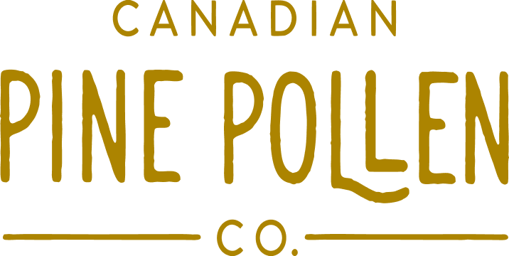 PINE POLLEN