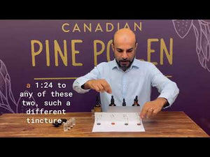 Chaga Mushroom Dual Extract| Wild Certified Organic Chaga Tincture (250mg/ml)